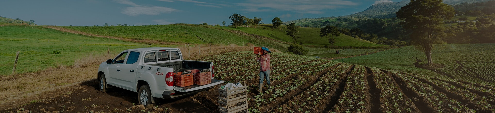 Total Fleet Renting Costa Rica